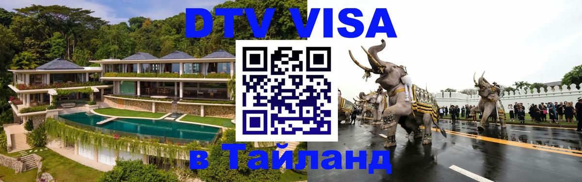 Оформление DTV визы под ключ: стоимость и тарифы, только загранпаспорт - Пенза 